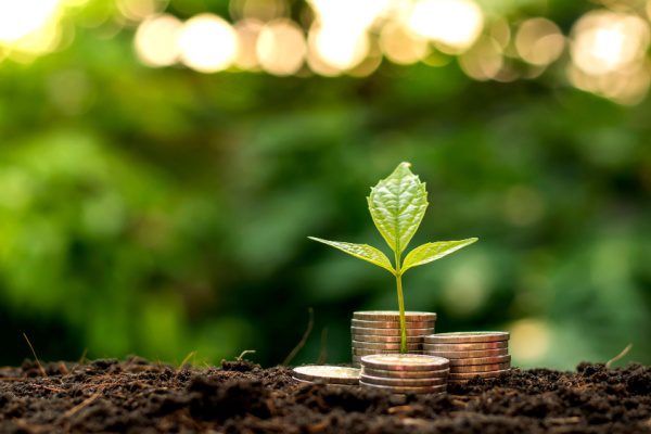 Jeune plante poussant sur des piles de pièces dans la terre, symbolisant la croissance économique et l'investissement.