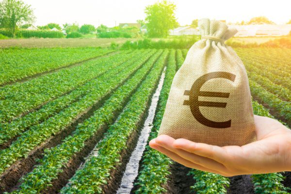Sac avec symbole euro tenu devant un champ agricole, symbolisant la taxe foncière agricole.